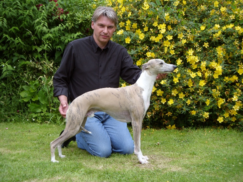 portée Tea Time du haras d'Hélios X Pauline du Haras d'hélios